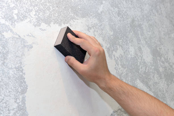 Best Mold Odor Removal Services  in Monticello, NY
