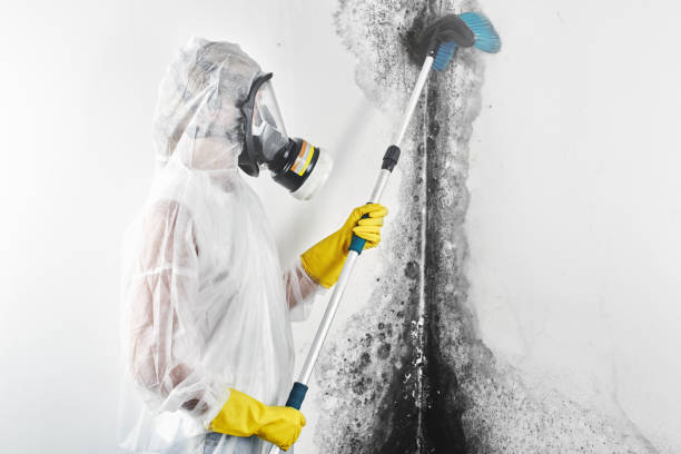 Best Emergency Mold Remediation  in Monticello, NY