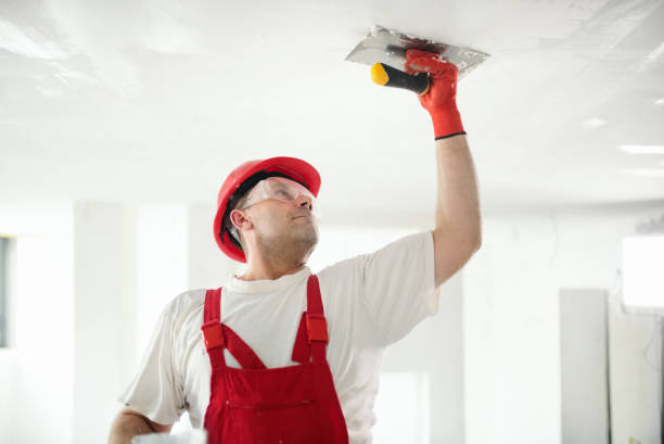 Best Real Estate Mold Inspection  in Monticello, NY