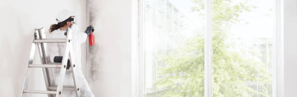 Best Environmental Consulting for Mold Prevention  in Monticello, NY